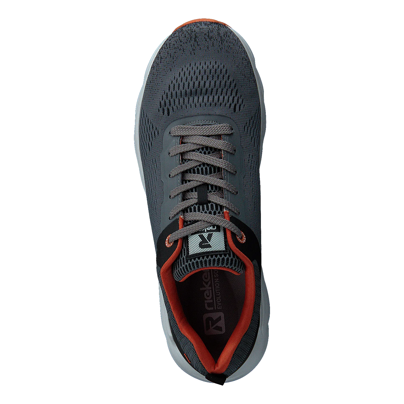 7806 Grey