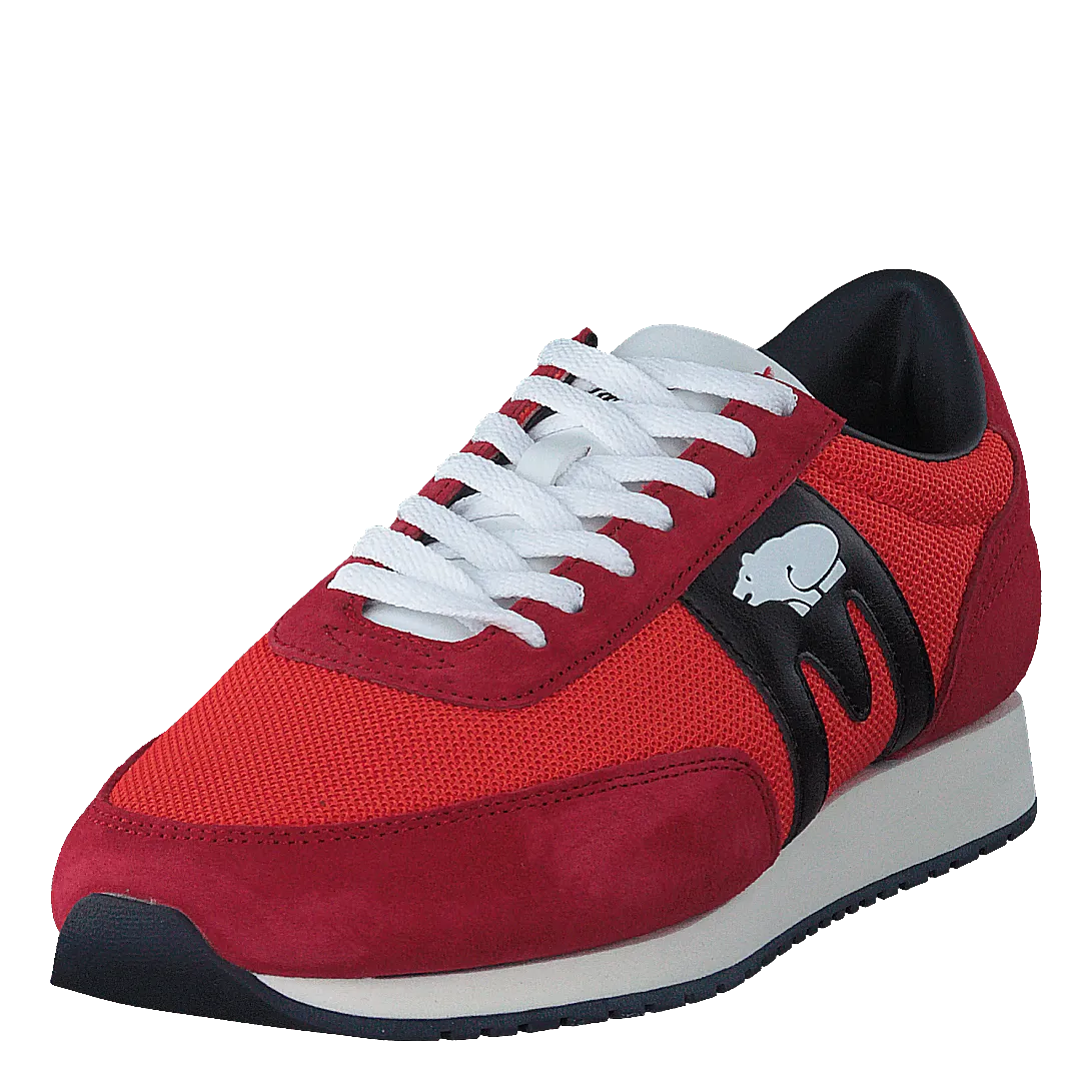Albatross Barbados Cherry / Fiesta