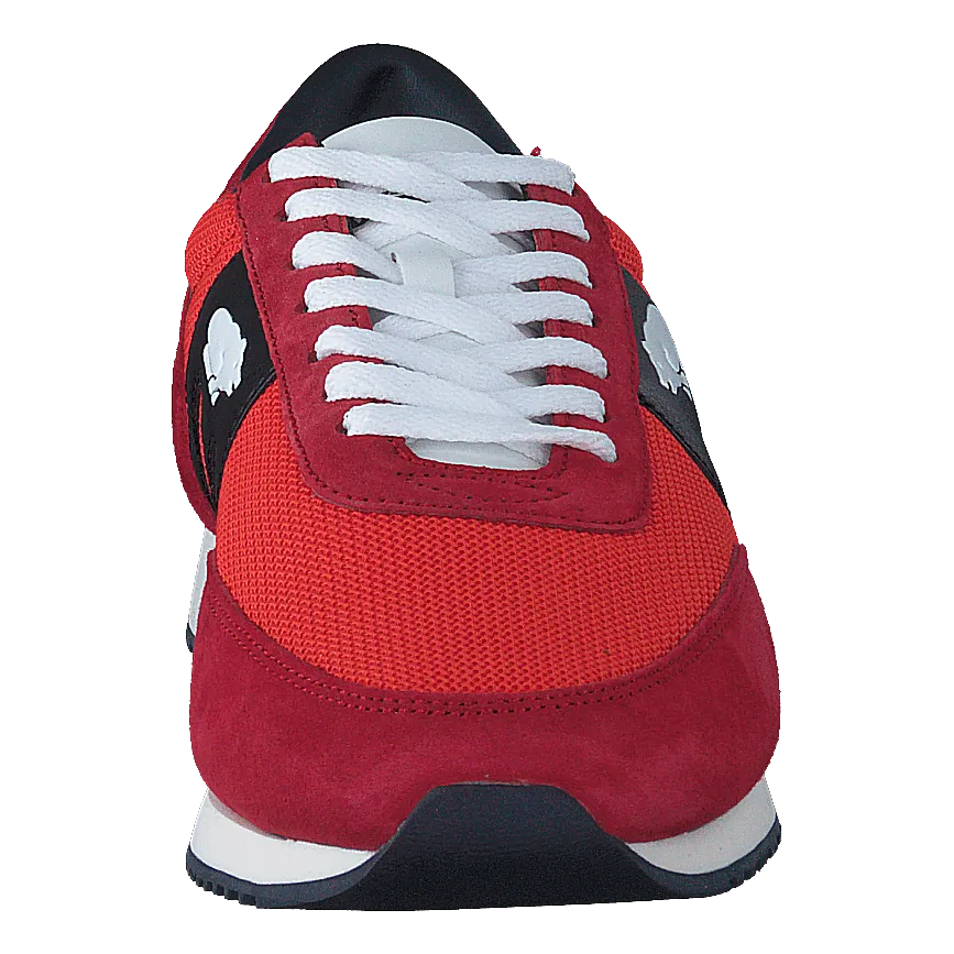 Albatross Barbados Cherry / Fiesta