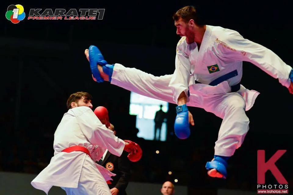 Arawaza WKF Approved Shin pad & Removable instep pad