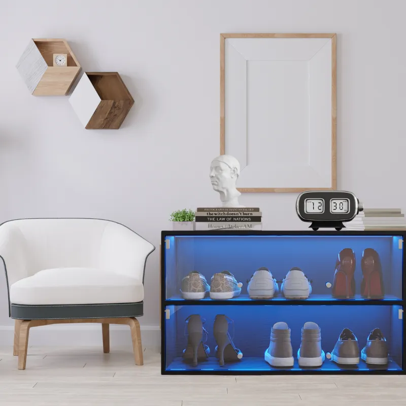 Black Glass Door Shoe Storage Cabinet with RGB LED Lights