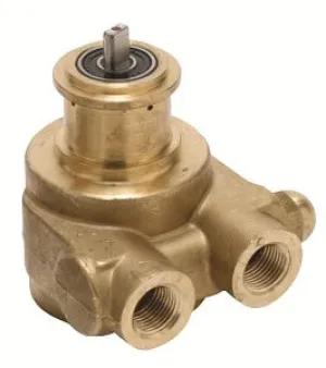 Fluid-O-Tech 2.3 GPM Brass Rotary Vane Pump