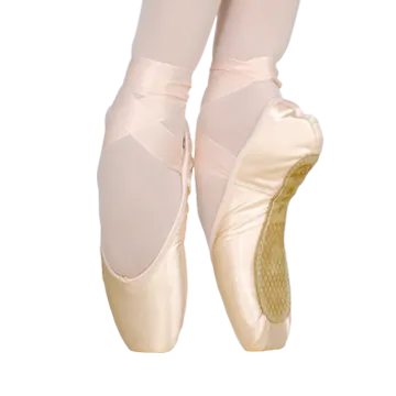 Grishko 2007 Pointe Shoe