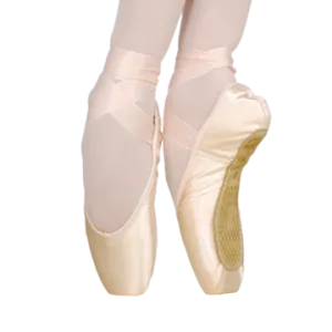 Grishko 2007 Pointe Shoe