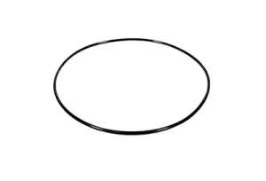 Hayward O-ring AX6060S