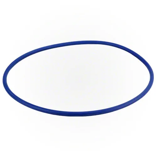 Hayward O-ring GMX600F