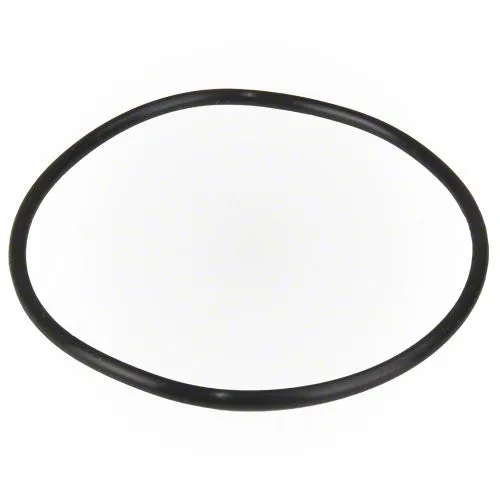 Hayward Pump Lid O-ring SPX1500P