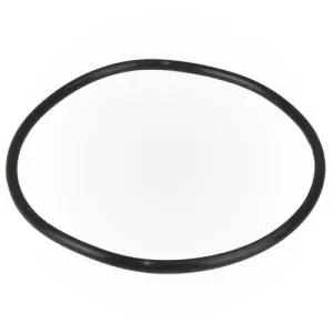 Hayward Pump Lid O-ring SPX1500P