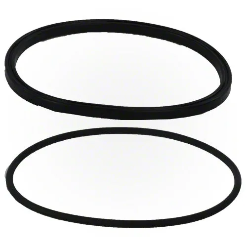 Jandy PlusHP Lid Seal with O-ring R0449100