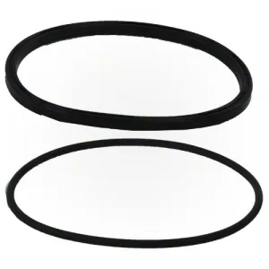 Jandy PlusHP Lid Seal with O-ring R0449100
