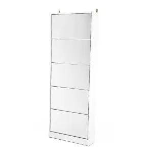 NNEDPE Mirrored Shoe Storage Cabinet Organizer- 170 x 63 x 17cm