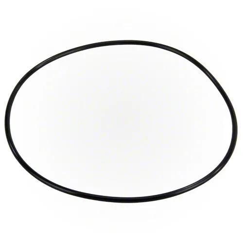 Polaris Booster Pump Bracket O-ring P95
