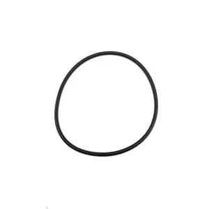 Speck Pump Lid O-Ring 2902041210