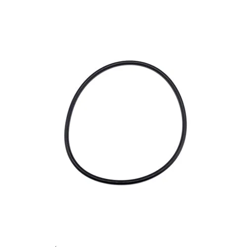 Speck Pump Lid O-Ring 2902041210