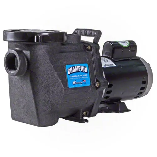 Waterway Champion 3 HP Pump - Energy Efficient