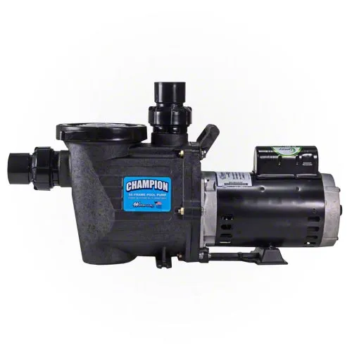 Waterway Champion 3 HP Pump - Energy Efficient