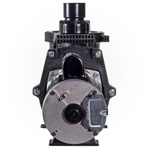 Waterway Champion 3 HP Pump - Energy Efficient