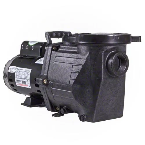 Waterway Champion 3 HP Pump - Energy Efficient