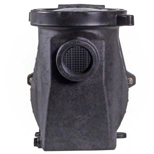 Waterway Champion 3 HP Pump - Energy Efficient